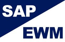 Další projekt rozšířeného řízení skladu SAP EWM