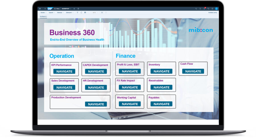 Business 360 SAP Store Mibcon