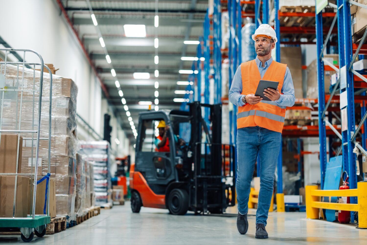SAP EWM implementation partner